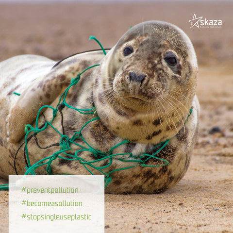 Image of SKAZA® Küchenkomposter Bokashi ORGANKO / OCEAN BLACK