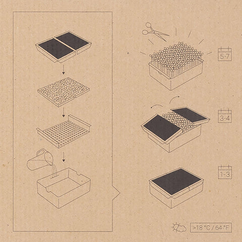 Image of HEIMGART® Microgreen Starter-Kit Keramikschale (2 Saatpads)