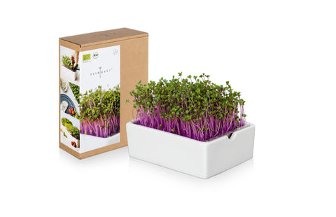 Image of HEIMGART® Microgreen Starter-Kit Keramikschale (2 Saatpads)