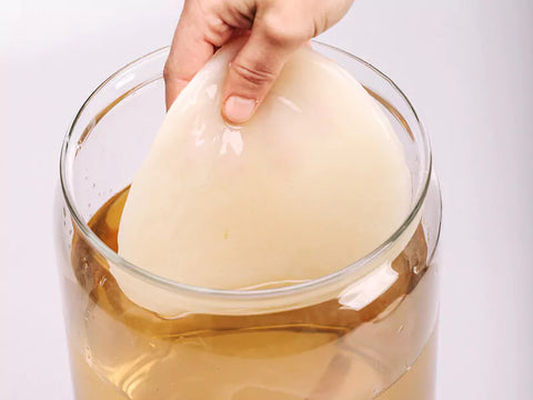 Image of KEFIRKO DIY Kombucha Fermenter STARTER-KIT / ROSE