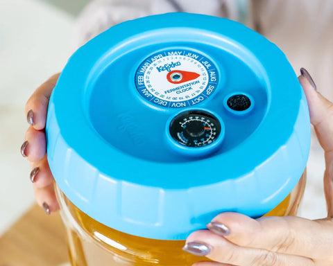 Image of KEFIRKO DIY Kombucha Fermenter-Set (4L) / Diverse Farben