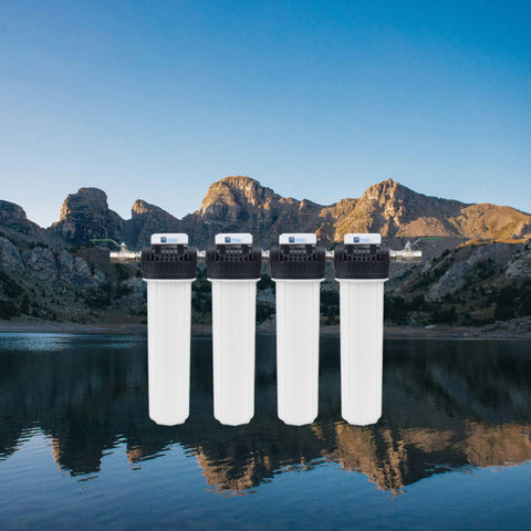 Image of PEKA®20 Hauswasser-Filtersystem (4er) komplett (MFH)