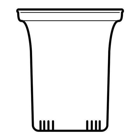 Image of TRENDGLAS JENA Glasfilter gross