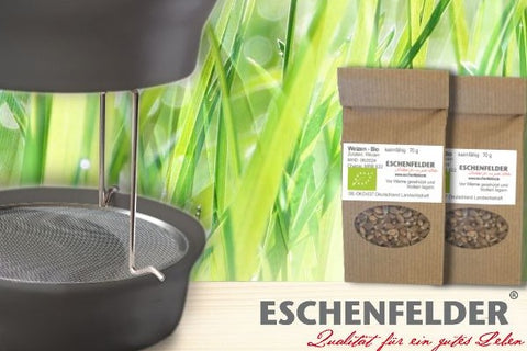 Image of ESCHENFELDER® Weizengras-Sets 2er (inkl. Bio-Saatgut) / SCHWARZ