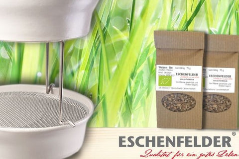 Image of ESCHENFELDER® Weizengras-Sets 2er (inkl. Bio-Saatgut) / SCHWARZ