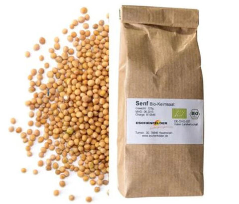 Image of ESCHENFELDER® Bio-Keimsaat (100g) / SENF