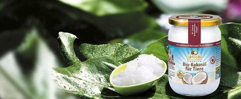 Image of DR.GOERG Bio-Kokosoel für Tiere (500ml)