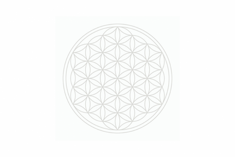 Image of ND Krug PHOENIX (1L).