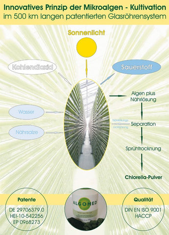 Image of ALGOMED® Chlorella Algen / Pulver (350g)
