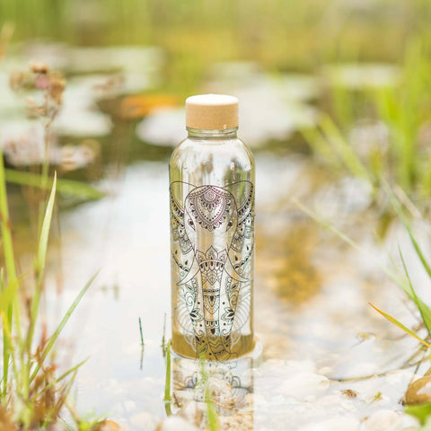 Image of CARRY Glasflasche (7dl) / ELEPHANT
