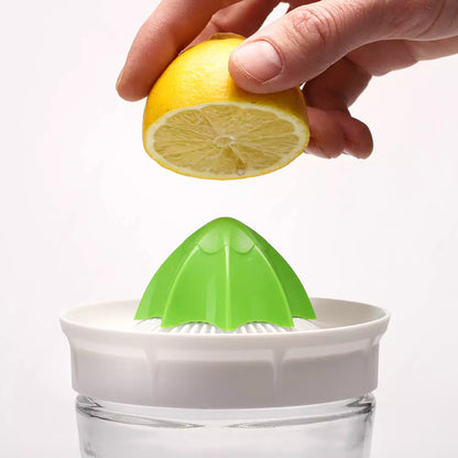 KEFIRKO DIY Wasserkefir STARTER-KIT 1 (Diverse Farben)