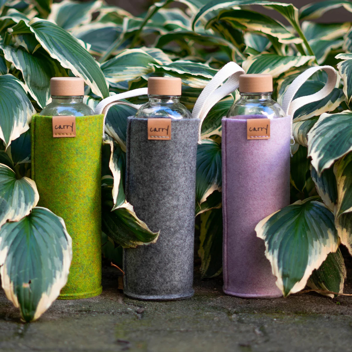 CARRY Schutzhülle Glasflasche (1l) LILA – Aqua Natura GmbH