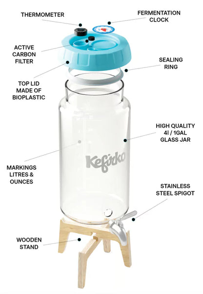 KEFIRKO DIY Kombucha Fermenter-Set (4L) / Diverse Farben
