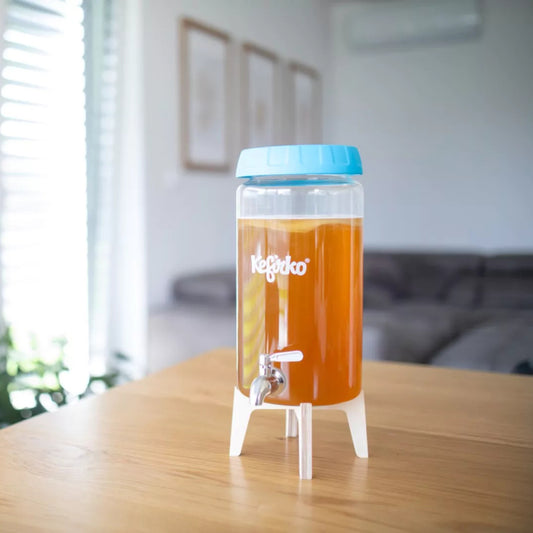 KEFIRKO DIY Kombucha Fermenter STARTER-KIT (Diverse Farben)