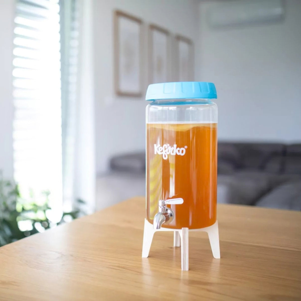 KEFIRKO DIY Kombucha Fermenter STARTER KIT (Diverse Farben)