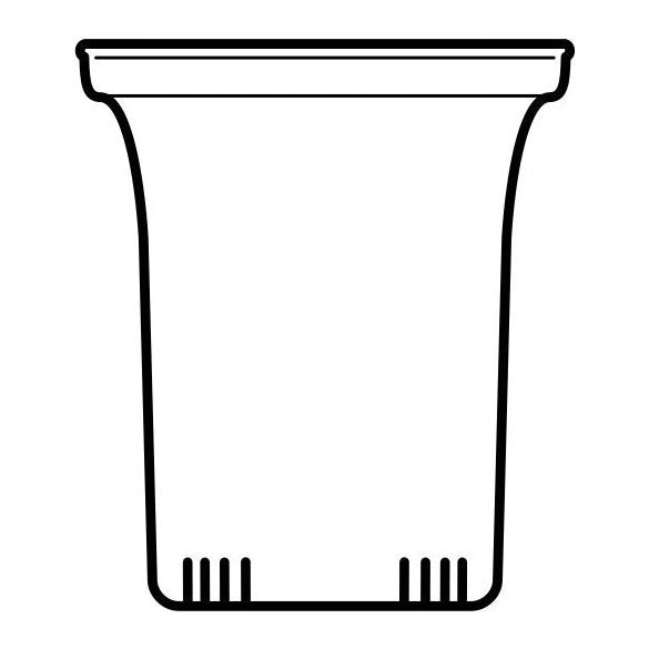 TRENDGLAS JENA Glasfilter gross