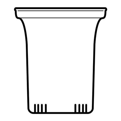 TRENDGLAS JENA Glasfilter gross