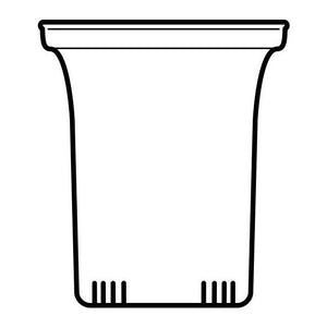 TRENDGLAS JENA Glasfilter gross