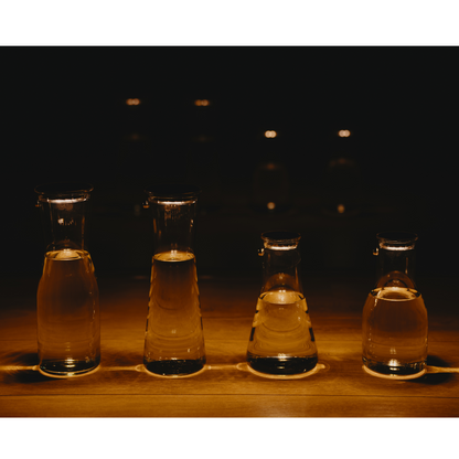 SONNENGLAS® Lichtkaraffe / 1000ml (Korkdeckel/Solarmodul)