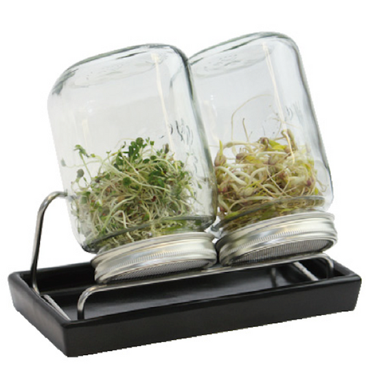 ESCHENFELDER® Sprossenglas-Set ll (750ml) / Keramik SCHWARZ