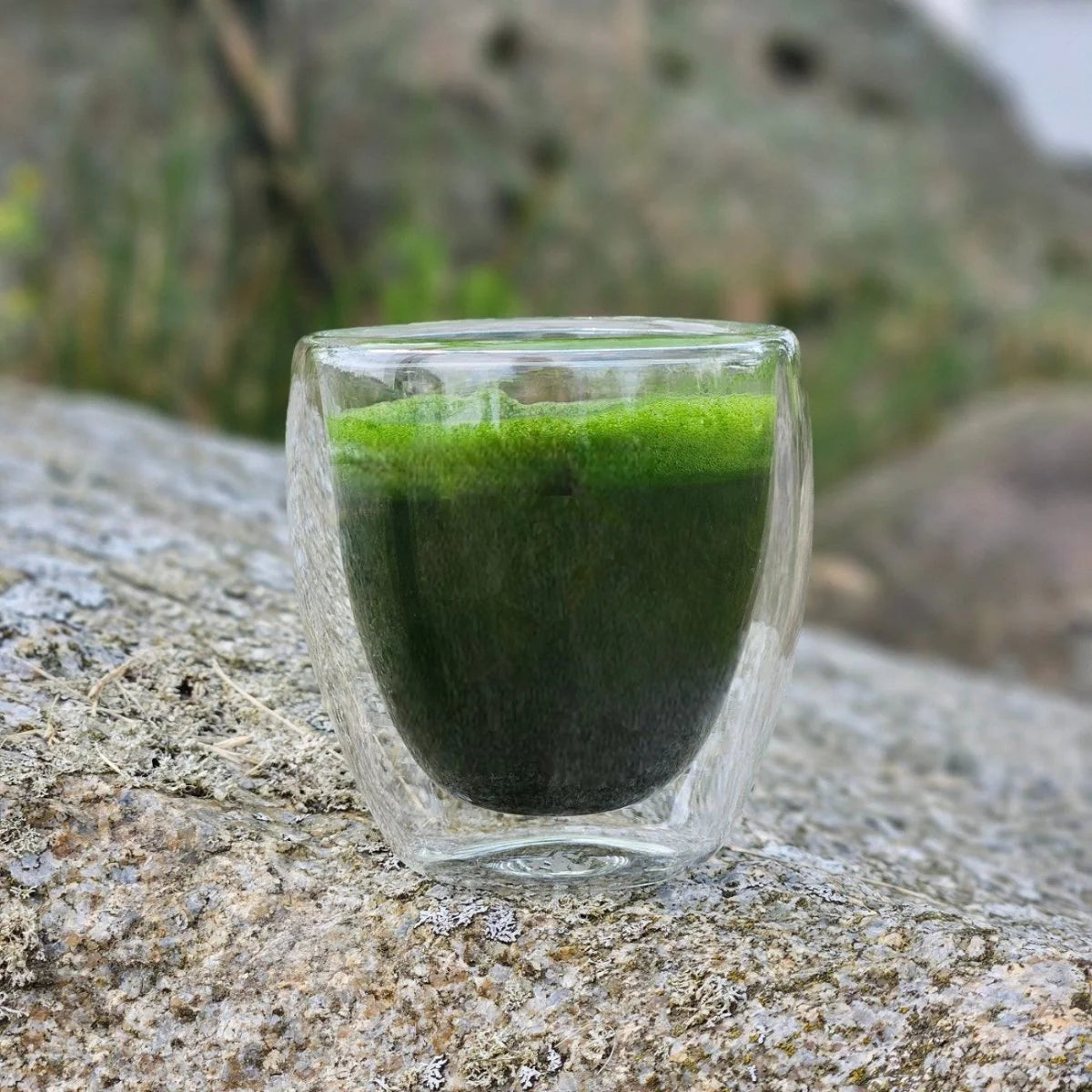 ALGOMED® Chlorella Crema Trinkkur (90g)