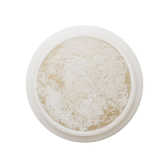 MAUNAWAI® UF Duschfilter (Ultrafiltration)