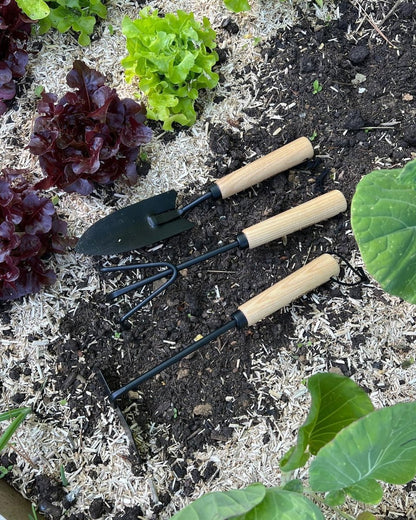 byBenson® Hand-Gartenwerkzeug-Set (Metall/Holz)