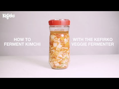 KEFIRKO DIY Glas Veggie (1.4L) / ROT