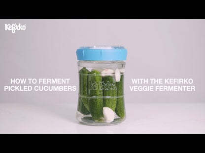 KEFIRKO DIY Glas Veggie (9dl) / BLAU