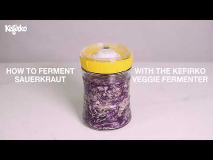 KEFIRKO DIY Glas Veggie (9dl) / BLAU