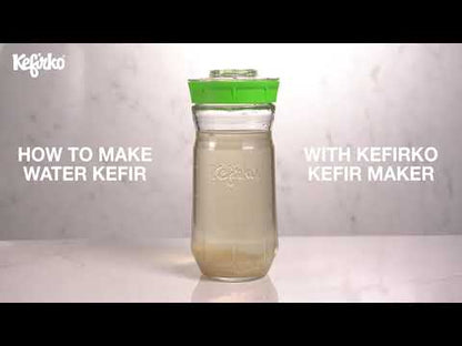KEFIRKO DIY Wasserkefir-Sets 1400ml (inkl. Japankristalle) / Diverse Farben