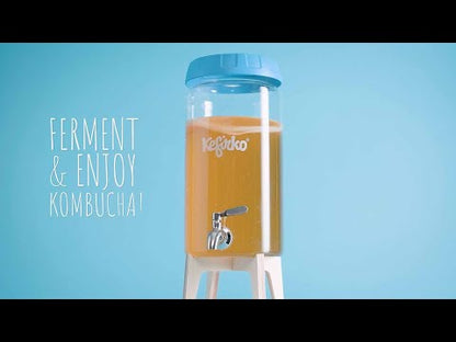 KEFIRKO DIY Kombucha Fermenter STARTER KIT (Diverse Farben)