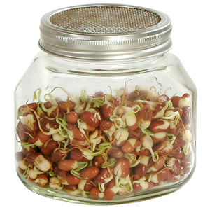 ESCHENFELDER® Ersatz-Sprossenglas ohne Gestell (750ml/1000ml/1500ml)