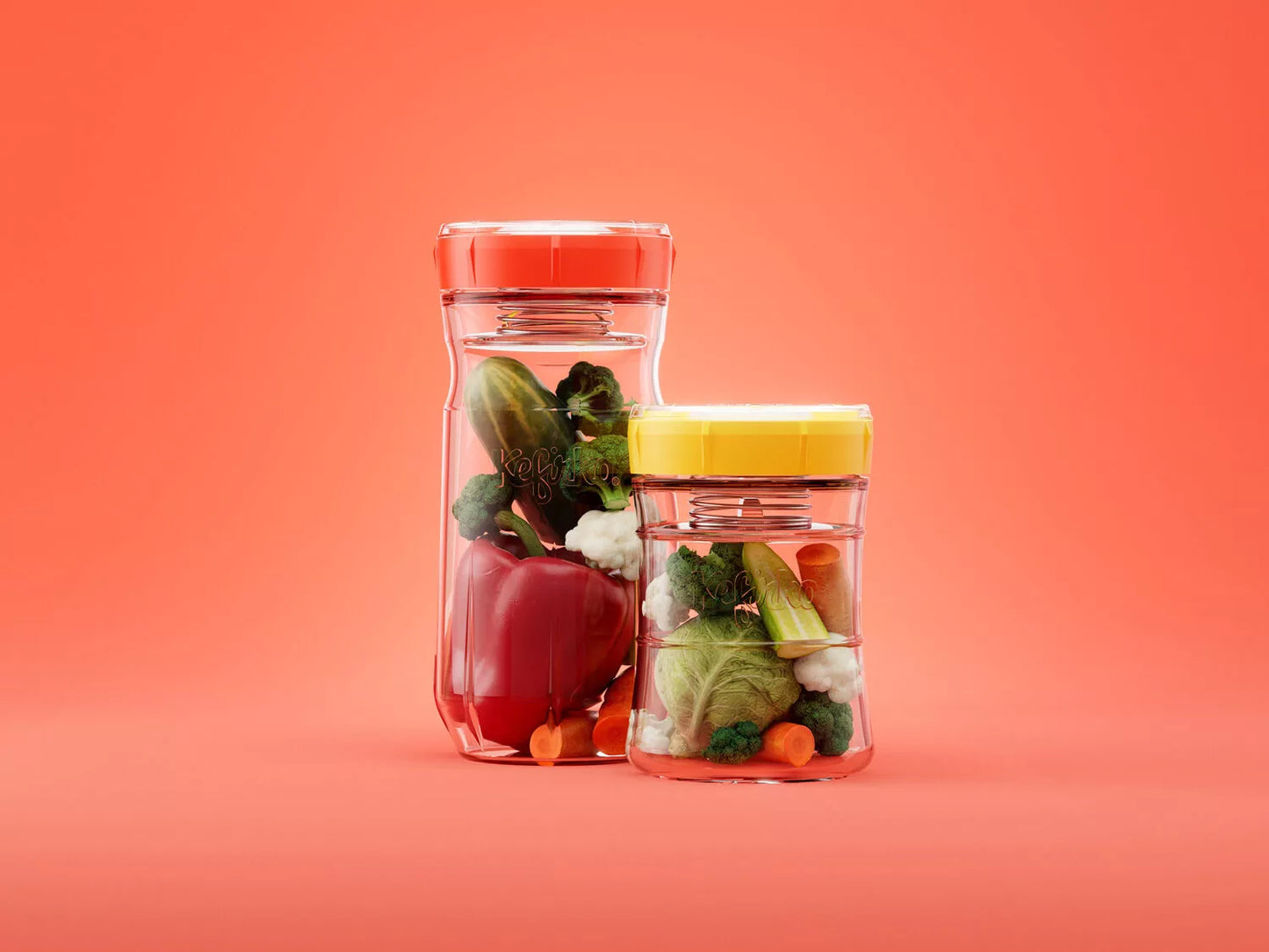 KEFIRKO DIY Veggie Fermenter / Complete Kit