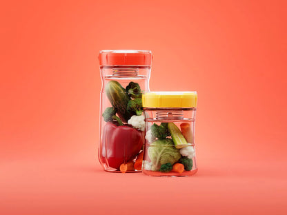 KEFIRKO DIY Veggie Fermenter / Complete Kit