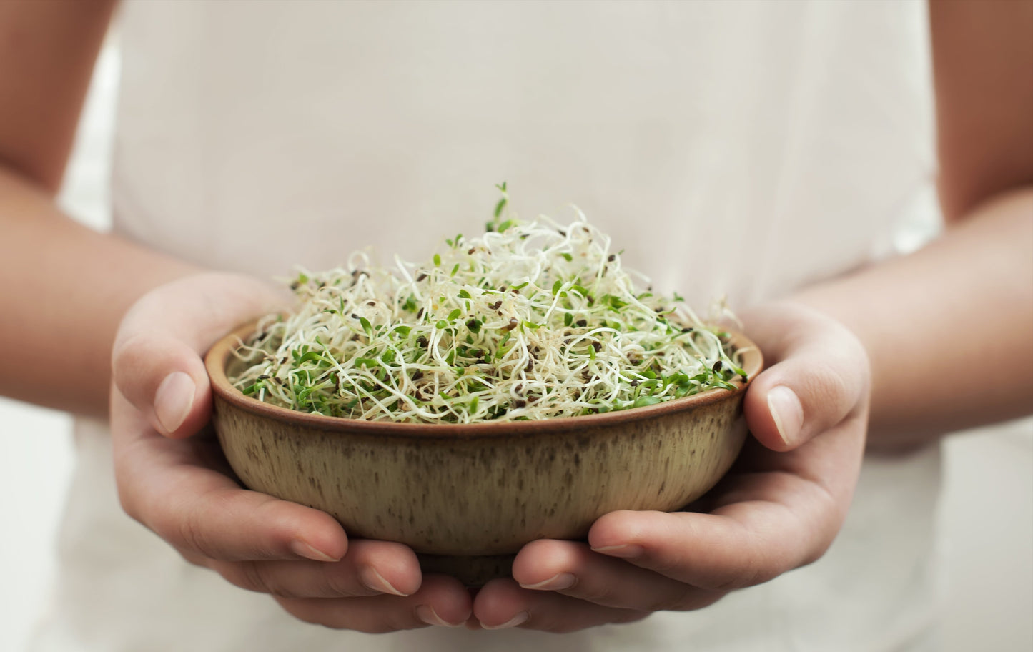 ESCHENFELDER® Bio-Keimsaat / ALFALFA (125g)
