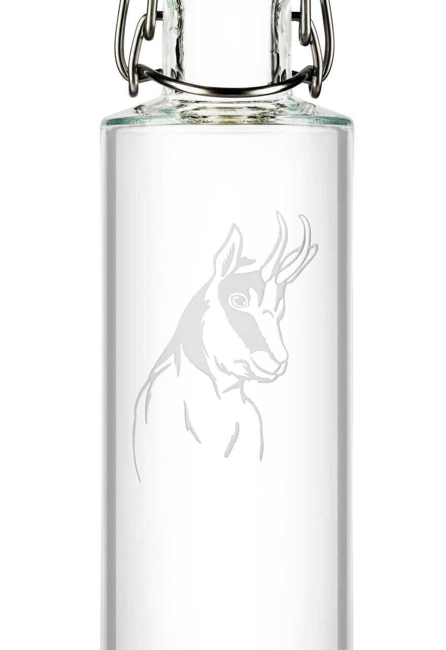ND ALPINE Water Bottle 6dl (Handgravur)