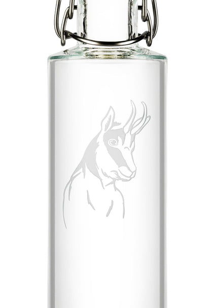 ND ALPINE Water Bottle 6dl (Handgravur)